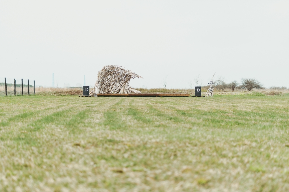 デイズの最新情報